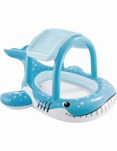 Whale Shade Pool
