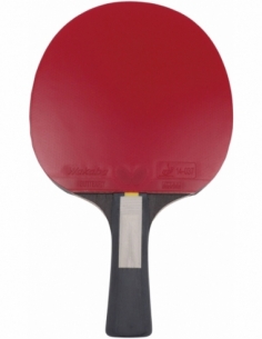 Ρακέτα Ping Pong Butterfly... 2
