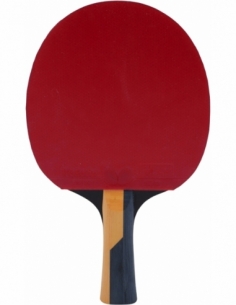 Ρακέτα Ping Pong Butterfly... 2