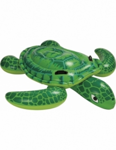 Lil' Sea Turtle 2